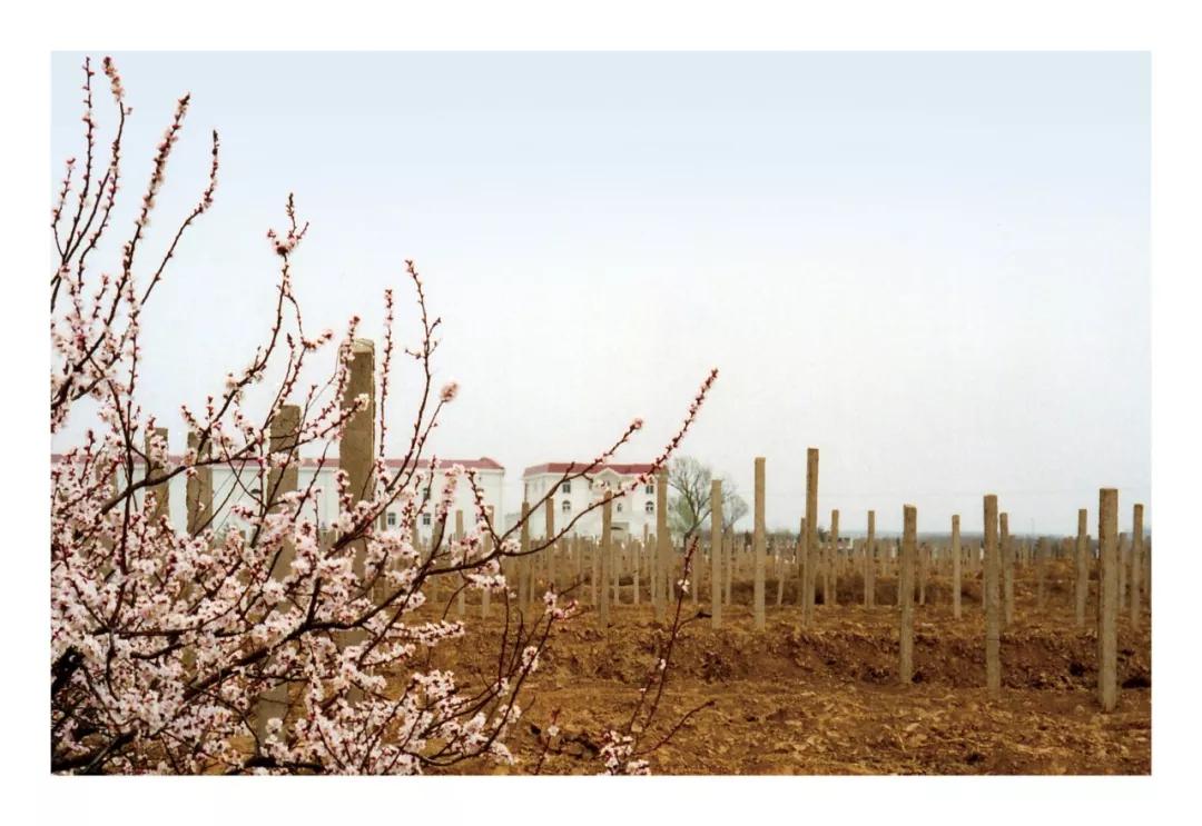 怡园酒庄哪款好,怡园酒庄2011