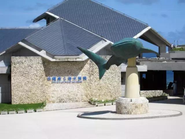 12月旅游日本冲绳最全攻略,春回大地旅游攻略