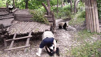 成都游玩攻略高铁,成都大冬天旅游攻略图