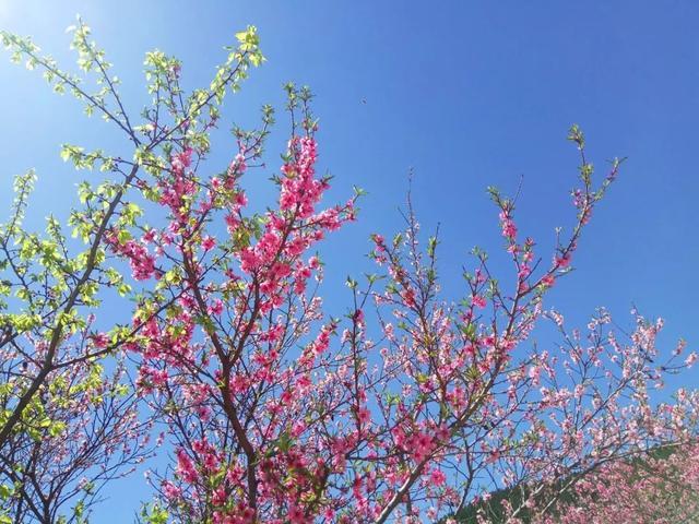 济南桌游馆,济南桌游哪里好