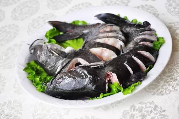 这才是上海最好的牛肉面,近期上海最牛的区