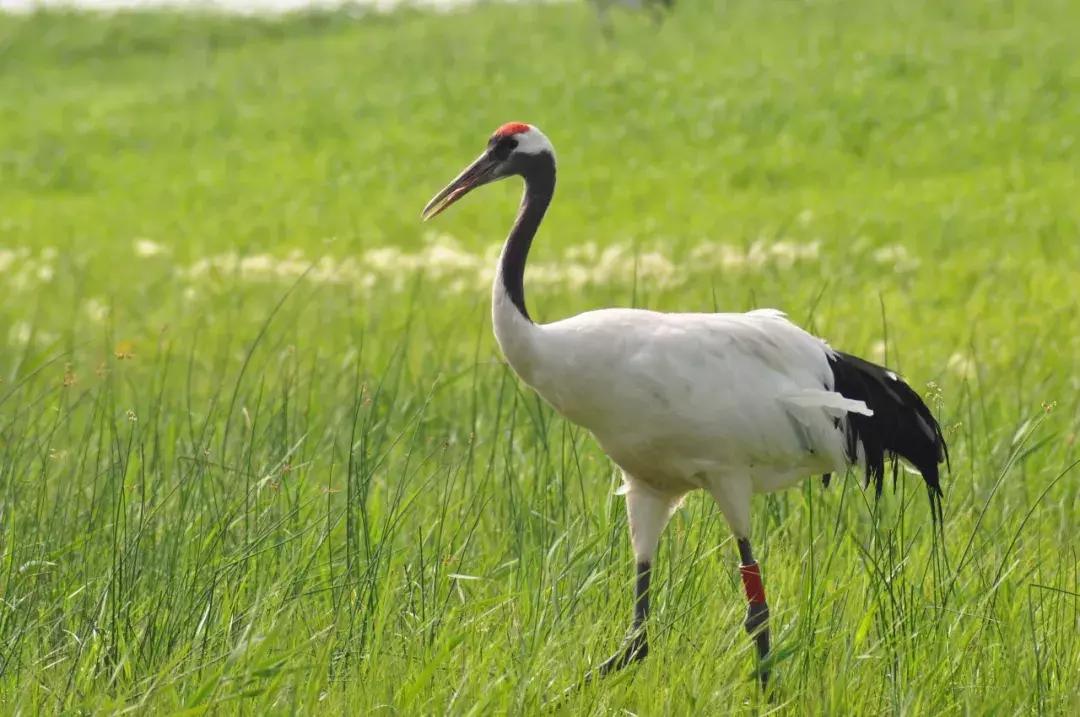 一帮闺蜜自驾游,环中俄边境自驾之旅