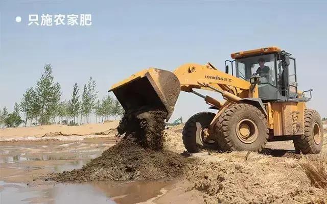 镉大米为何连年屡禁不止,镉大米会二次污染吗