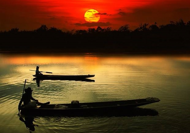 白茶清欢感恩遇见,白茶清欢山东