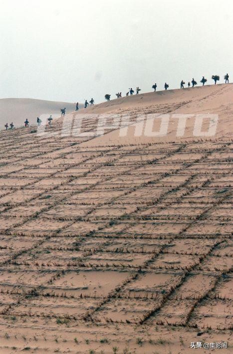 榆林市镇川镇老照片 (榆林市卫校老照片)