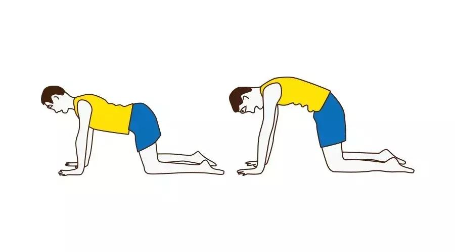 半个娱乐圈都有的体态问题——探颈,元新手把手教你矫正