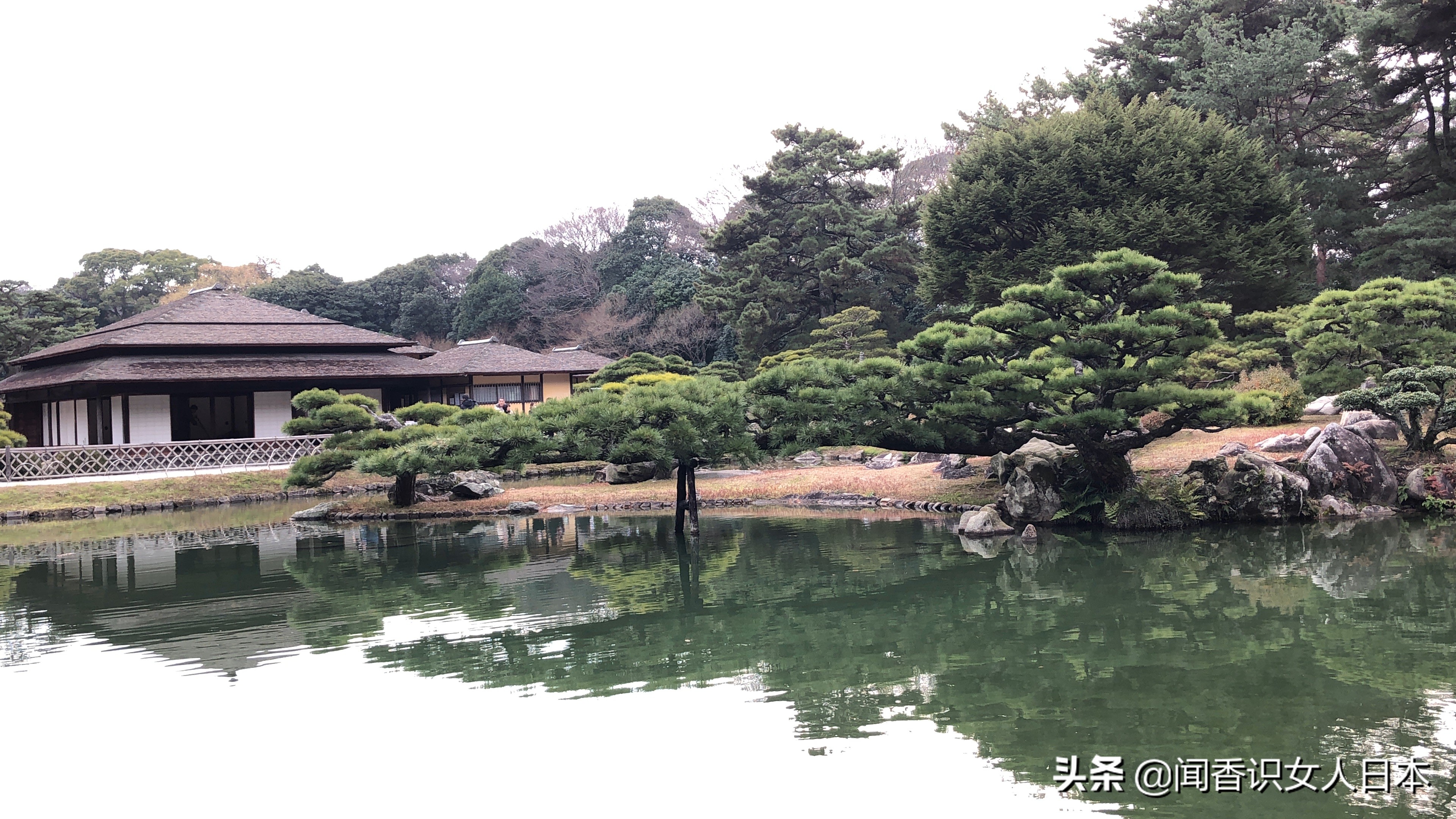 日本的米其林三星餐厅,日本米其林三星参观