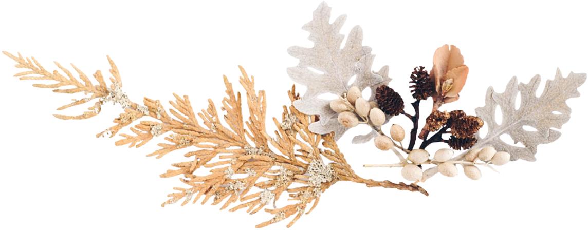 nars散粉和蜜粉哪个适合干皮,nars蜜粉适合油皮吗