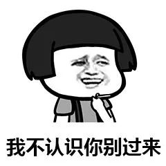 姓名大数据报告发布2024,姓名查询所有数据