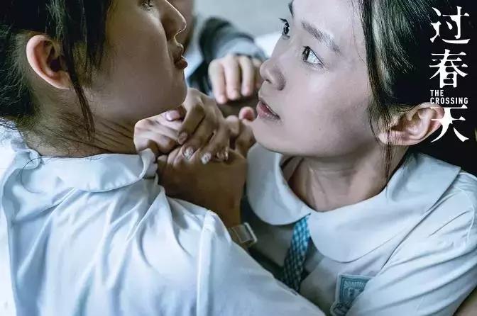 处女作如此惊艳,难怪口碑爆了!