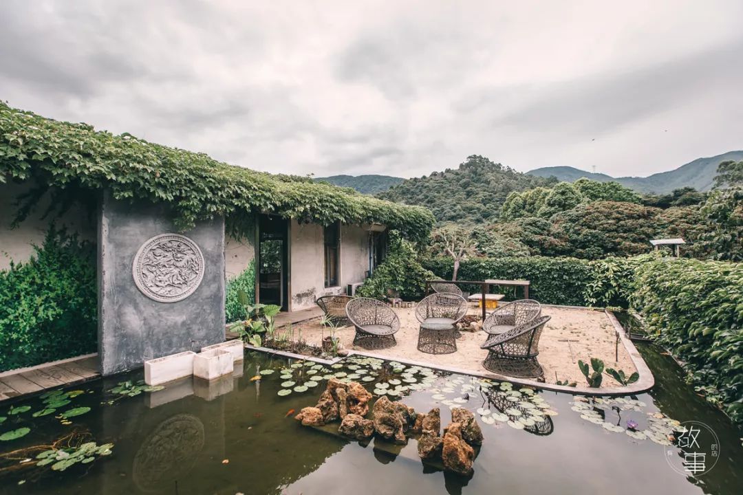 寻一处民宿过佛系生活,寻一处惬意空间偷一段闲暇时光