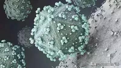 男子患梅毒20年没治疗,男子体检查出梅毒原因让人震惊了