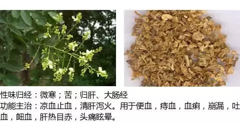 常用中草药名称大全图片及药效,常用中草药药效大全