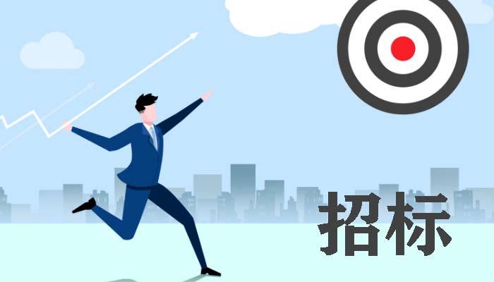 招标投标代理机构流程详细讲解,招标代理工作流程详解