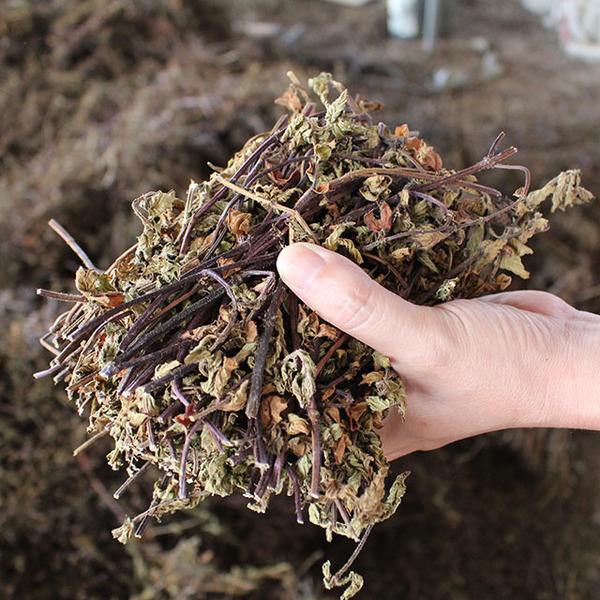 烧仙草都是有什么料,烧仙草一般都是加冰的吗