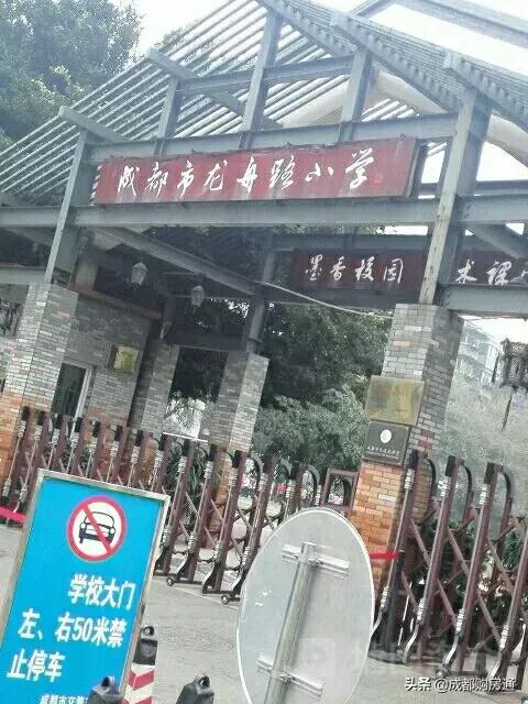 种了20年的铁树终于开花了,养了几十年的铁树终于开花了