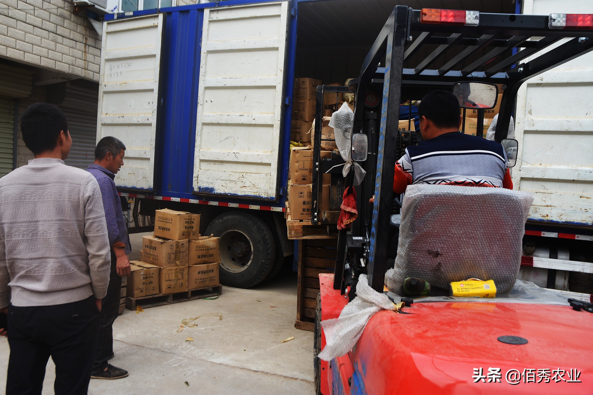 女记者辞职卖地瓜年售过亿,女记者辞职卖烤地瓜