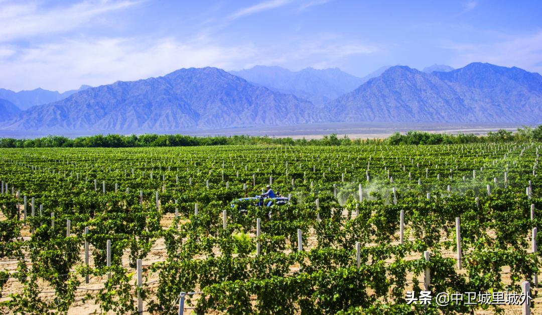 宁夏最穷人口最少的市,宁夏最富的县vs宁夏最穷的县