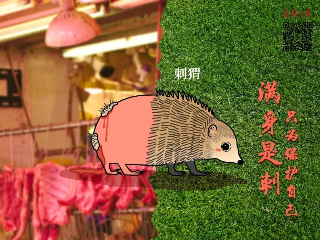 拒绝野味成为自觉行为,拒绝野味管不住嘴