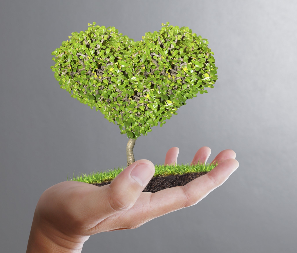 生物医学工程市场状况分析,生物工程行业调查与分析