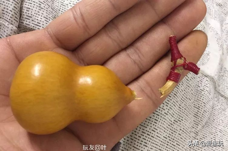 手捻葫芦龙头断了怎么办,文玩葫芦龙头断了还能玩吗