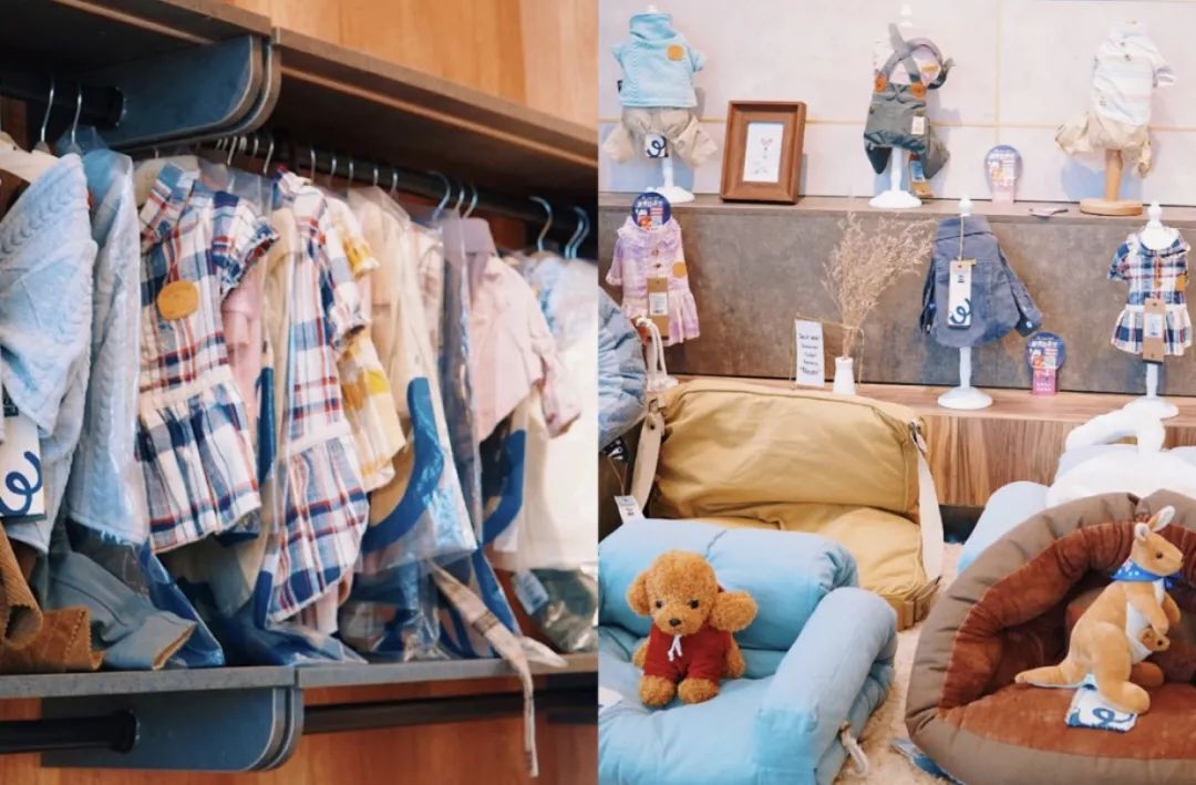 生活在南京的真实感受,南京适合生活嘛