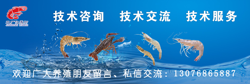 对虾补充什么钙最好,对虾多大吃1.0的料