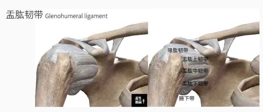 拉筋越拉反而越紧了呢,正常拉筋的正确方法