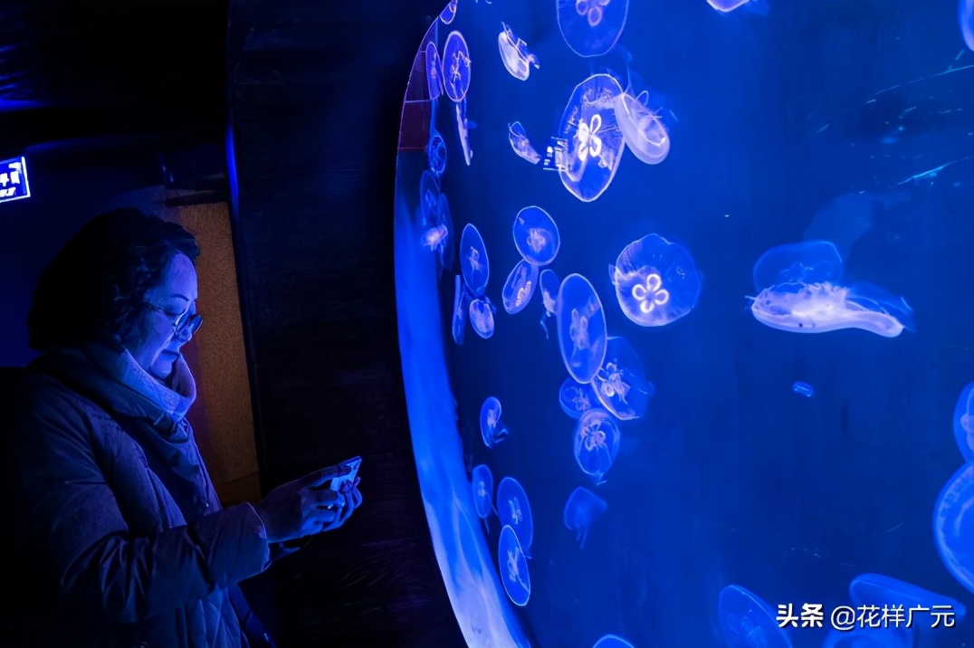 广元卡尔海洋世界,广元市卡尔海洋世界怎么去