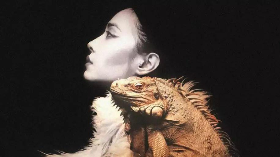 王心凌张韶涵蔡依林杨丞琳,张韶涵蔡依林王心凌回忆杀