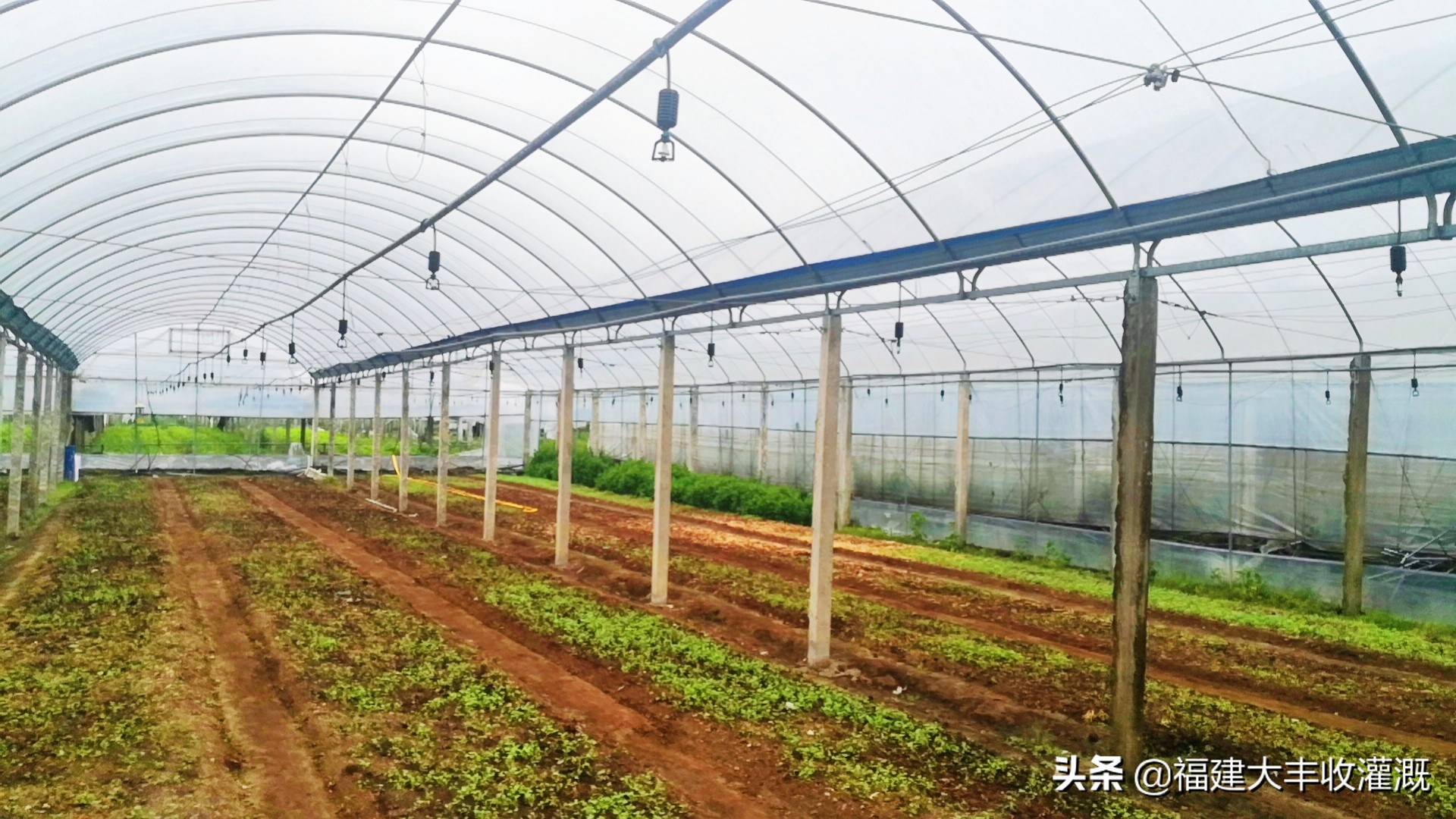 微喷灌溉设备全套喷头,微喷灌溉喷头原理