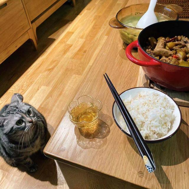 提高独居生活幸福感好物,独居提高幸福感的100件小事