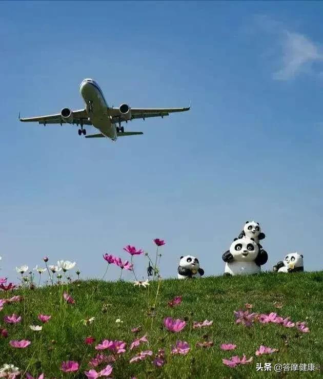 画的几根长短横线，竟能预测出项目的得失成败？