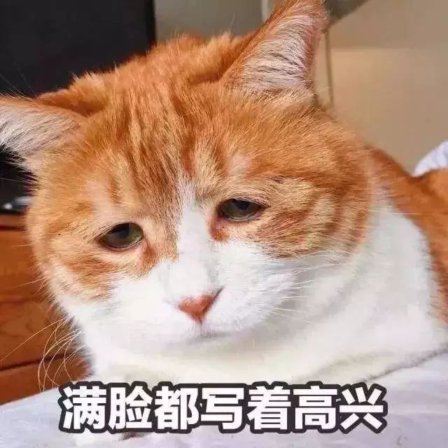 猫砂太臭猫咪还在里面上厕所吗,猫想上厕所没有猫砂怎么办