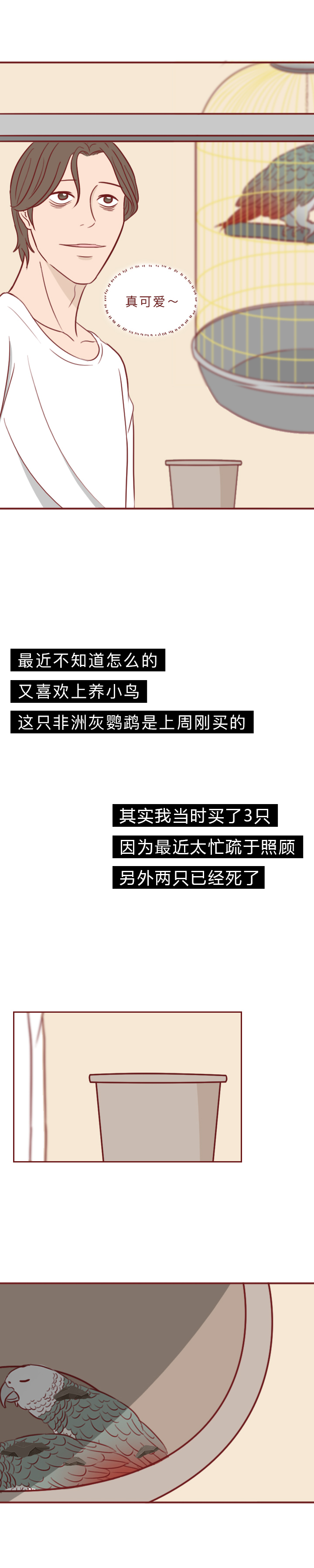 动物竟然把人当宠物一样囚禁和喂养,一部黑暗讽刺漫画