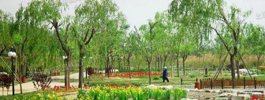 中国人民大学法学考研2020真题,中国人民大学2020年法学考研