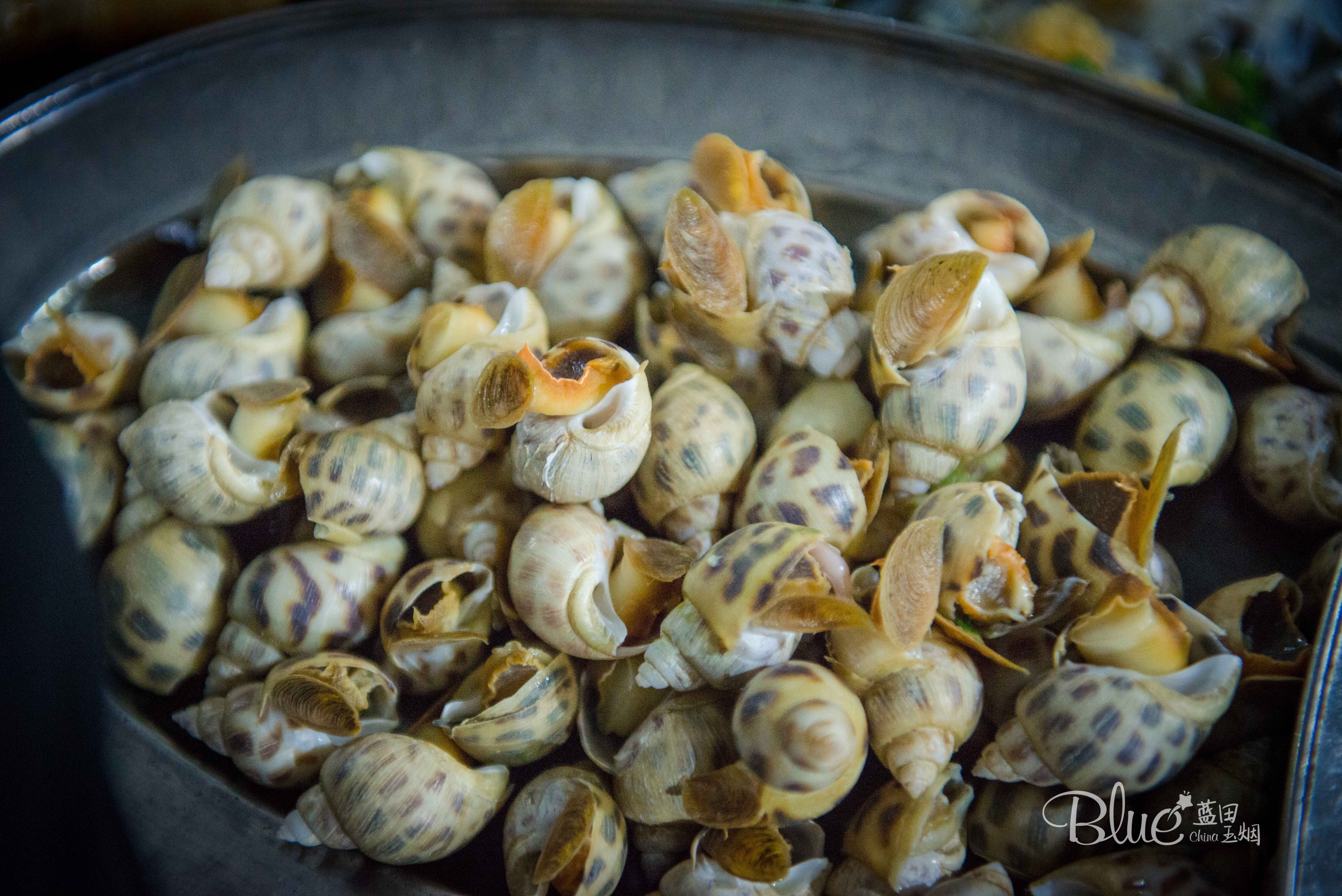 海口海鲜市场哪里比较好,海口板桥海鲜市场海鲜新鲜吗