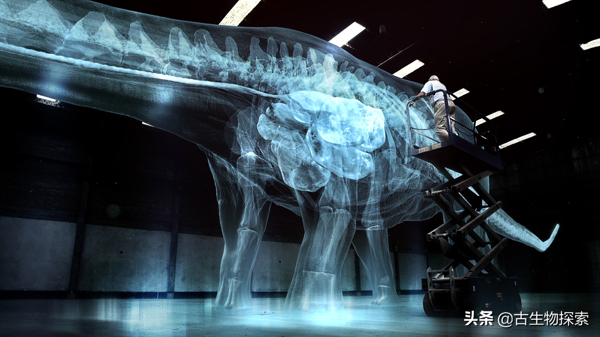 巴塔哥尼亚的巨兽纪录片,巴塔哥泰坦龙介绍