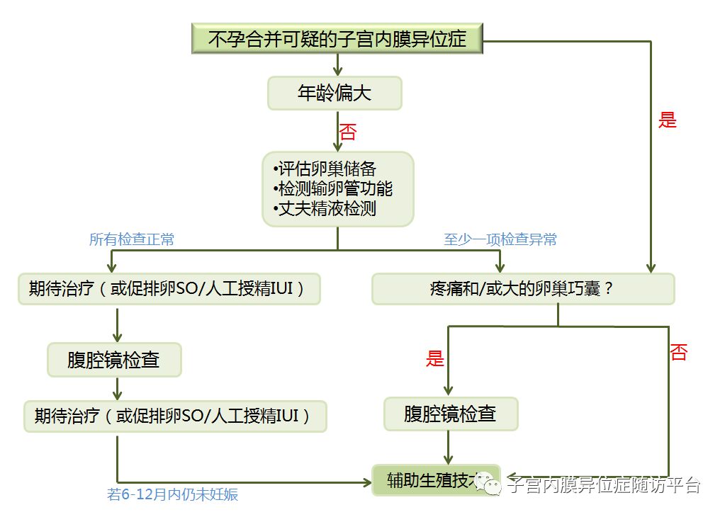 卵巢出现巧克力颜色块,巧克力囊肿长在卵巢上怎么治
