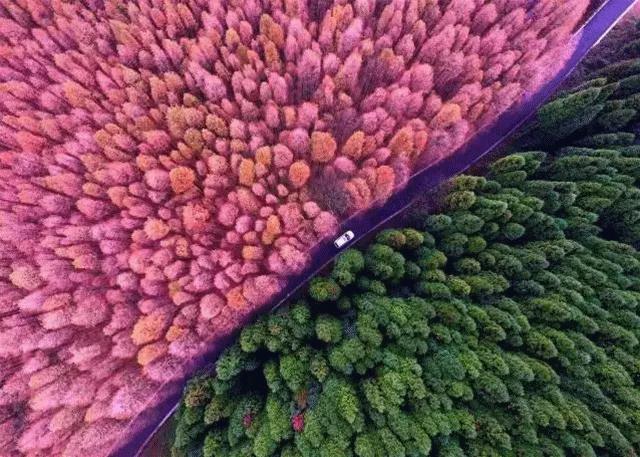 重庆周边旅游1-3天攻略最佳线路,重庆小众但绝美的旅游地点