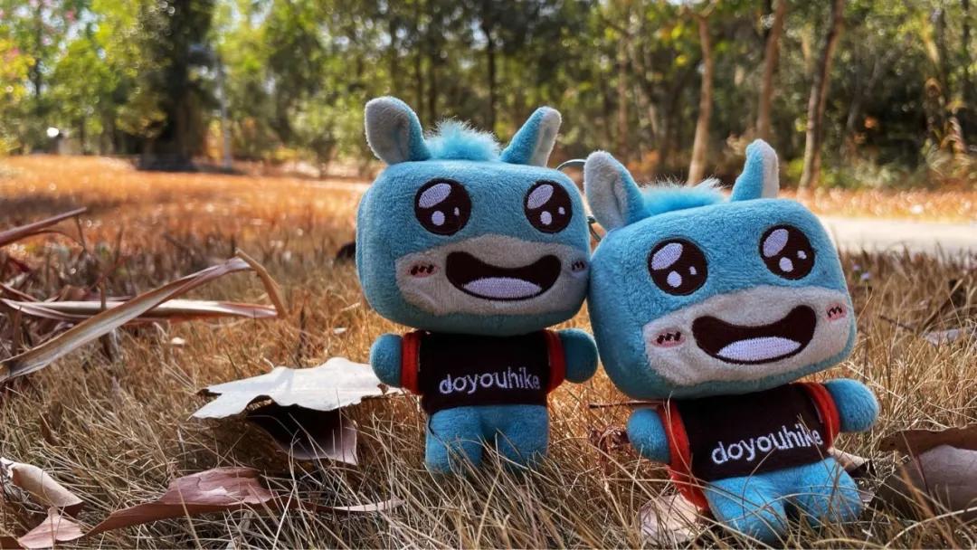 大运绿道跑步路线,大运公园绿道