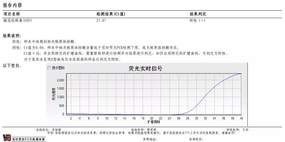 猫咪生病铲屎官上班怎么办,铲屎官治什么病