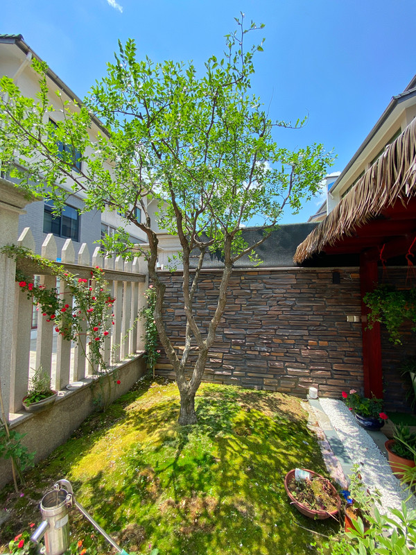 江浙沪自驾游亲子乐园推荐,江浙国内小众海岛亲子游