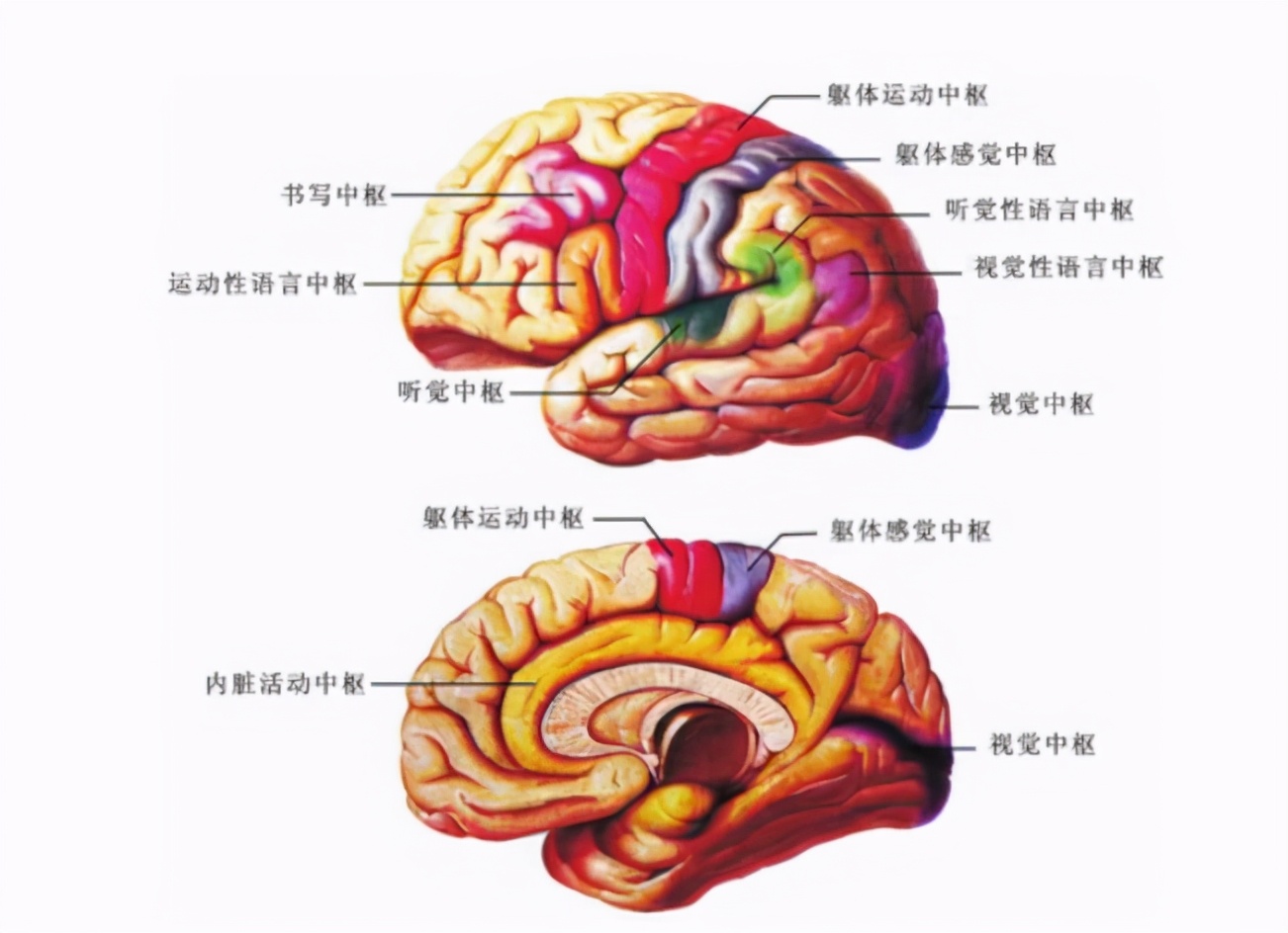 马拉多纳因心脏病去世,马拉多纳因什么病去世