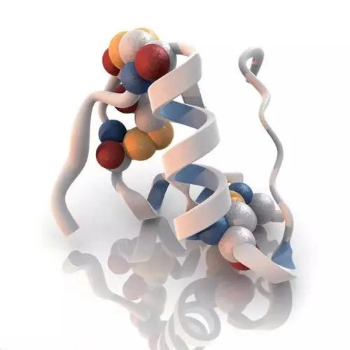 肽的好转反应完整版,肽与健康的十大作用