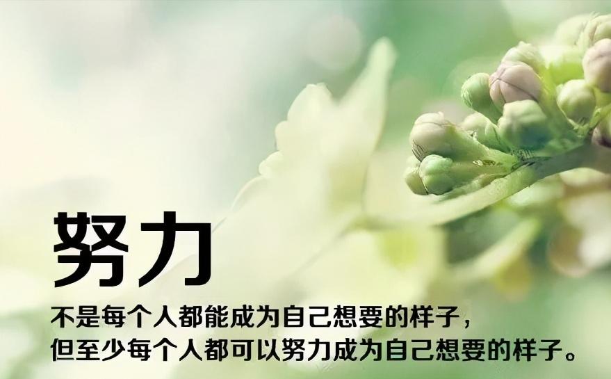 教你30天打造高品质朋友圈,如何打造高逼格朋友圈