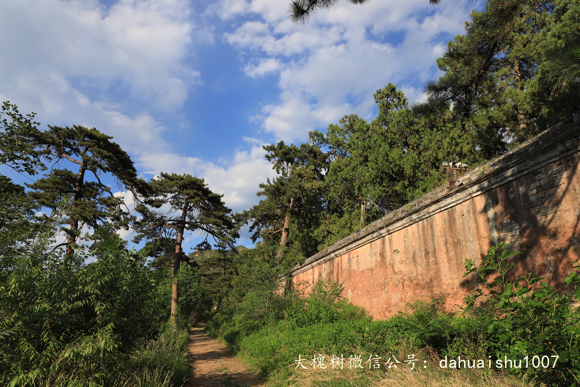 嘉靖陵墓永陵和永乐大典,明朝十三陵之永陵