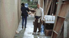 杨震足彩最新推荐,杨震足彩最新一期