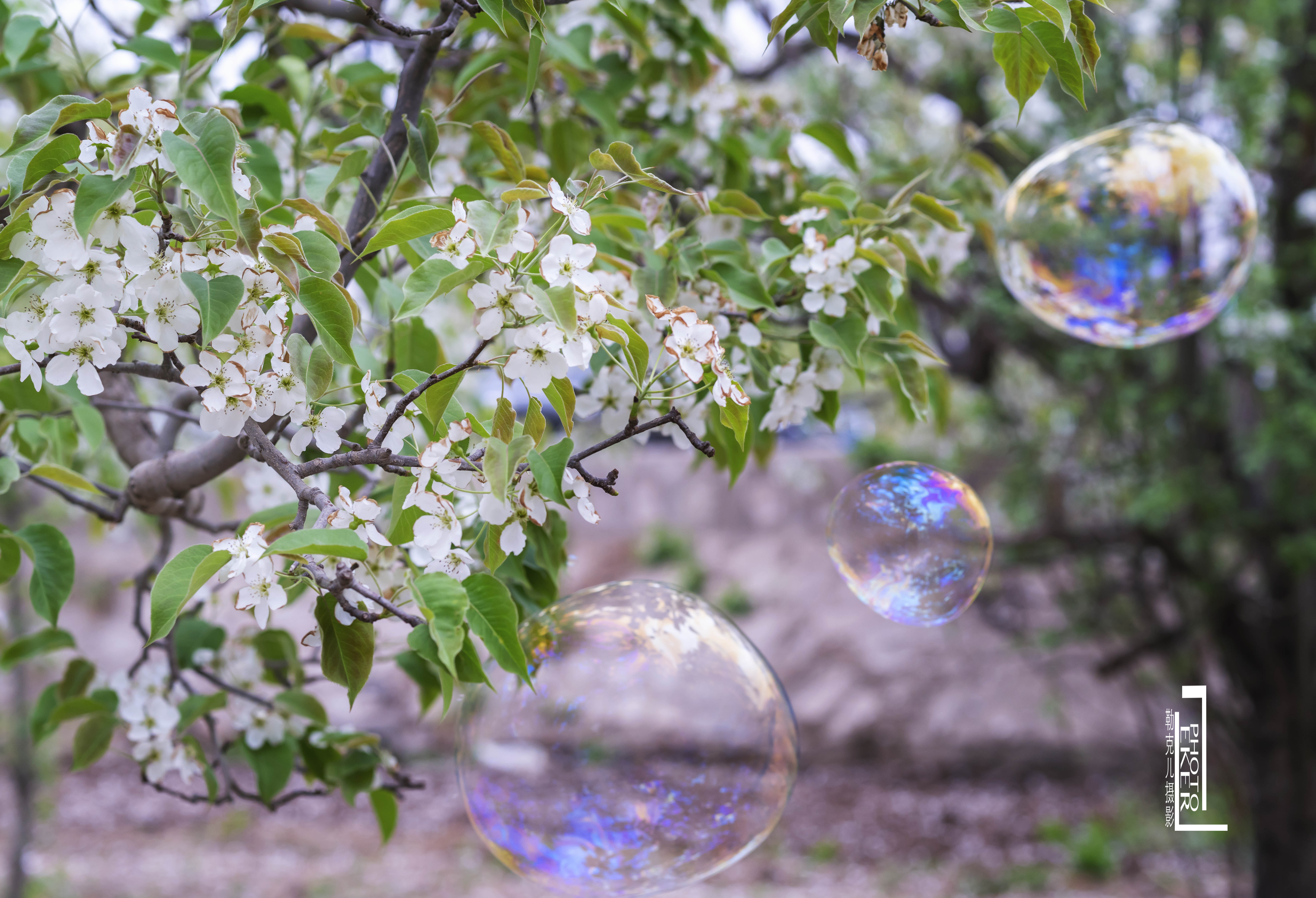 大西北戈壁滩怎么形成的,我国西北地区大戈壁滩形成原因