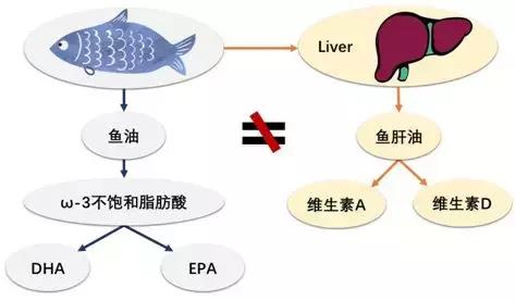 孕妇补充dha是否会患甲亢,孕妇和儿童需要补充dha吗